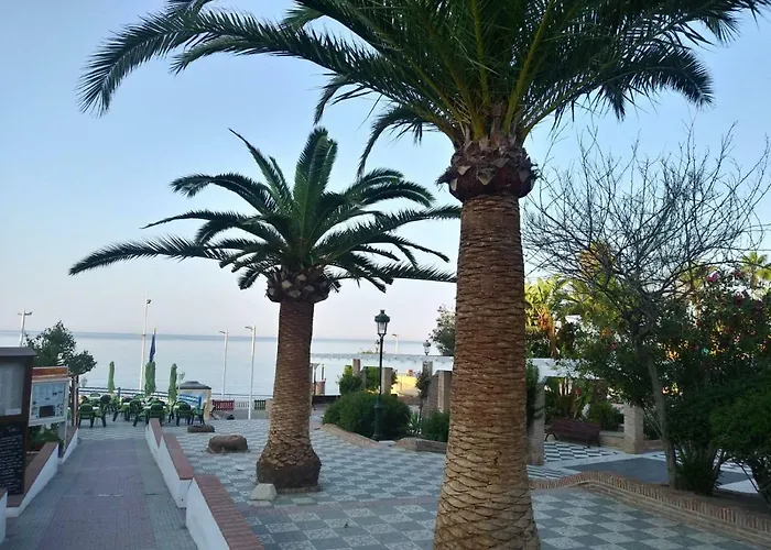 Apartmán Solymar *